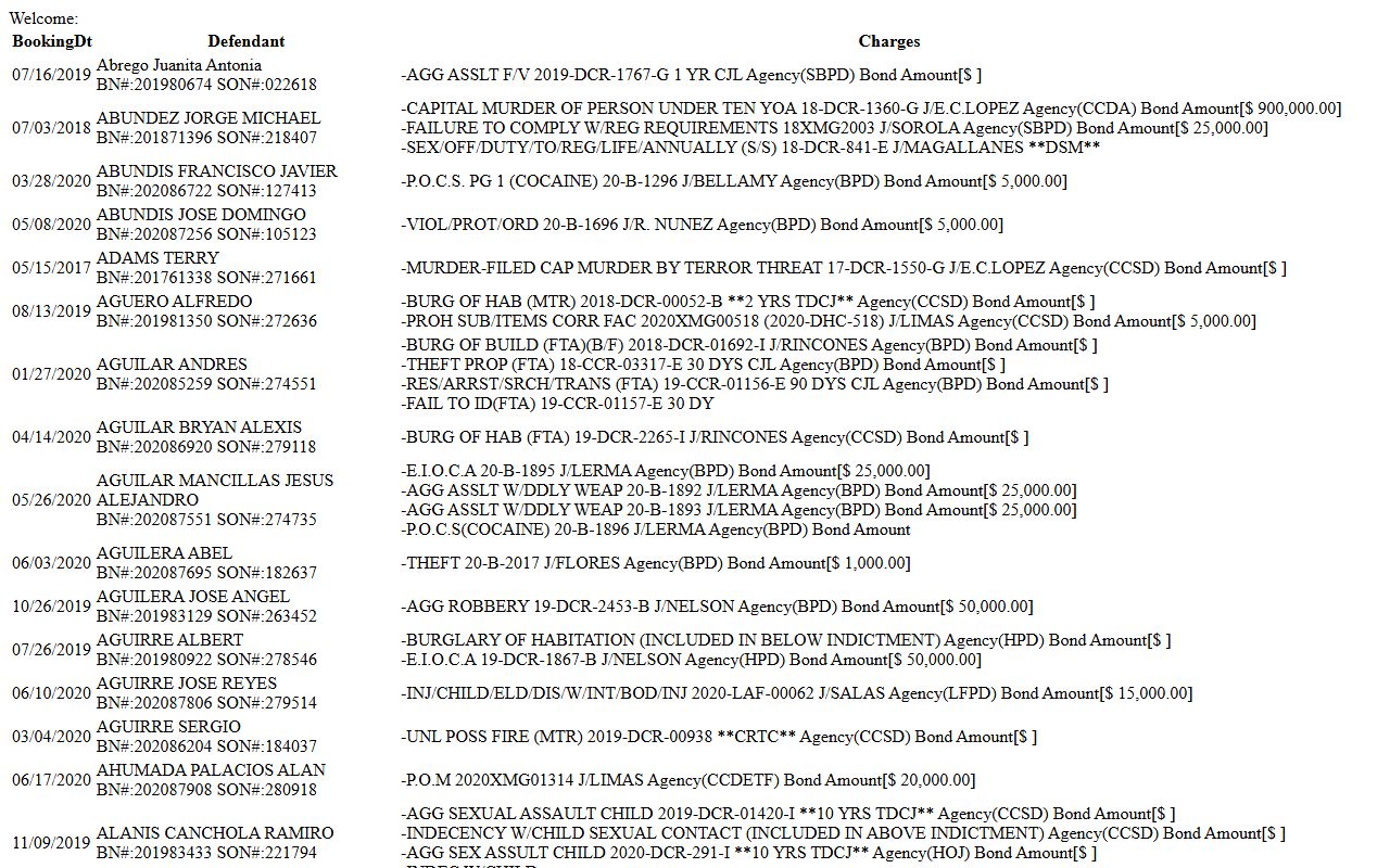 Cameron County recent arrests inmate list search portal